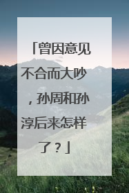 曾因意见不合而大吵,孙周和孙淳后来怎样了?