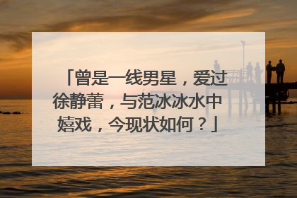 曾是一线男星,爱过徐静蕾,与范冰冰水中嬉戏,今现状如何?