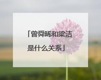 曾舜晞和梁洁是什么关系