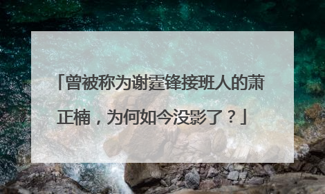 曾被称为谢霆锋接班人的萧正楠，为何如今没影了？