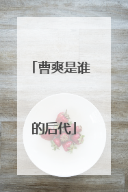 曹爽是谁的后代