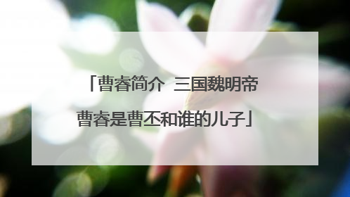 曹睿简介 三国魏明帝曹睿是曹丕和谁的儿子