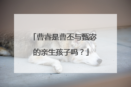 曹睿是曹丕与甄宓的亲生孩子吗?