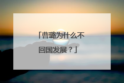 曹璐为什么不回国发展？