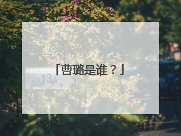 曹璐是谁？