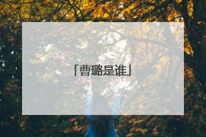 曹璐是谁
