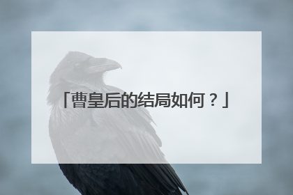 曹皇后的结局如何?