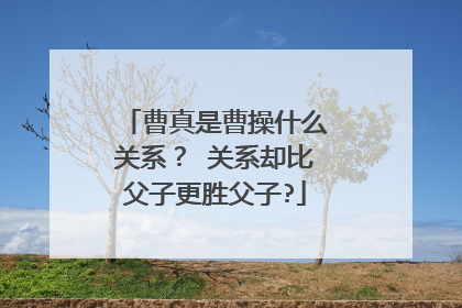 曹真是曹操什么关系？ 关系却比父子更胜父子?