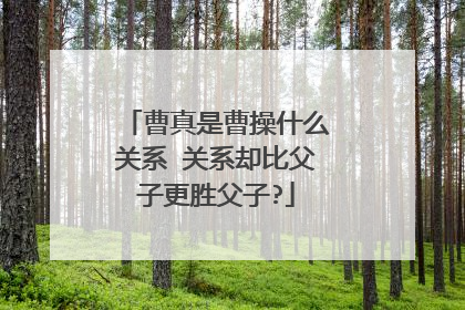 曹真是曹操什么关系 关系却比父子更胜父子?