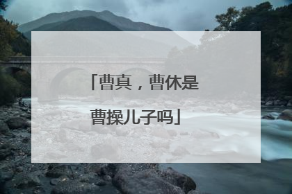 曹真,曹休是曹操儿子吗