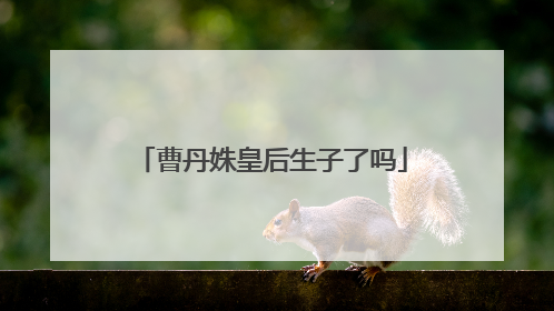 曹丹姝皇后生子了吗