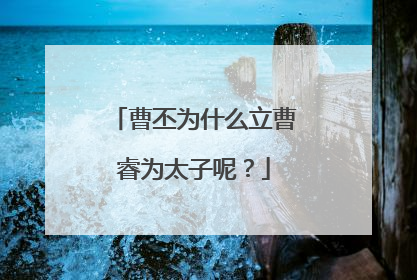 曹丕为什么立曹睿为太子呢？