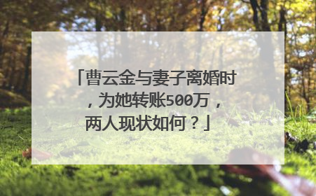 曹云金与妻子离婚时，为她转账500万，两人现状如何？