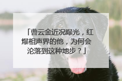 曹云金近况曝光,红爆相声界的他,为何会沦落到这种地步?