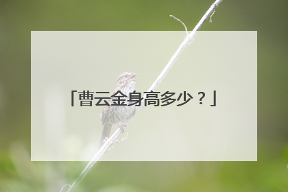 曹云金身高多少?
