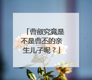 曹叡究竟是不是曹丕的亲生儿子呢?