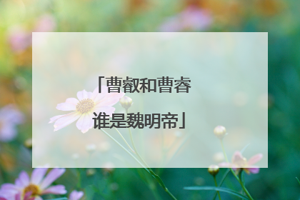 曹叡和曹睿 谁是魏明帝