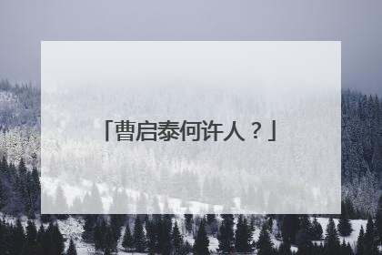 曹启泰何许人?