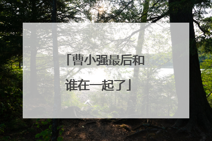 曹小强最后和谁在一起了