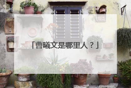 曹曦文是哪里人?