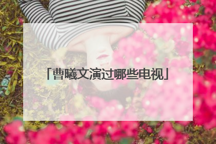 曹曦文演过哪些电视