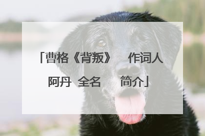 曹格《背叛》 作词人 阿丹 全名 简介