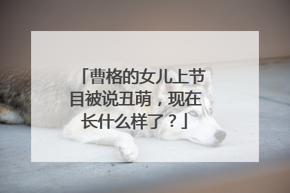 曹格的女儿上节目被说丑萌,现在长什么样了?