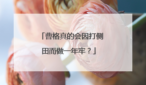 曹格真的会因打侧田而做一年牢？