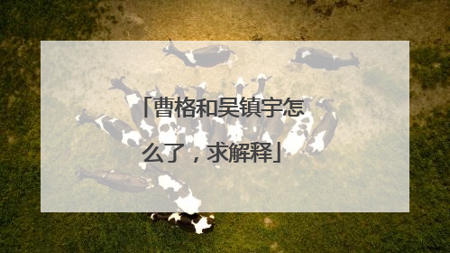 曹格和吴镇宇怎么了，求解释