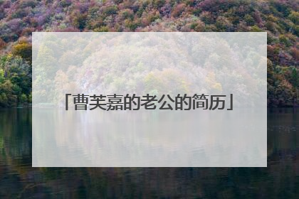 曹芙嘉的老公的简历