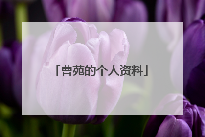 曹苑的个人资料