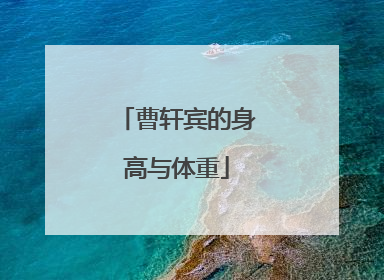 曹轩宾的身高与体重