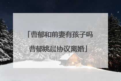 曹郁和前妻有孩子吗 曹郁姚晨协议离婚