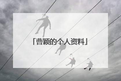 曹颖的个人资料