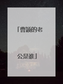 曹颖的老公是谁