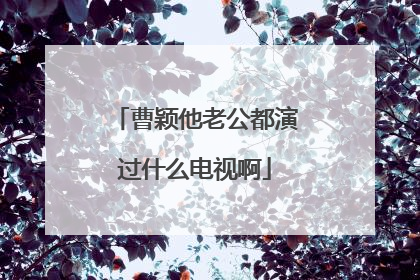 曹颖他老公都演过什么电视啊