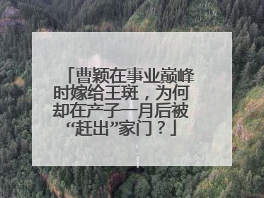 曹颖在事业巅峰时嫁给王斑,为何却在产子一月后被“赶出”家门?