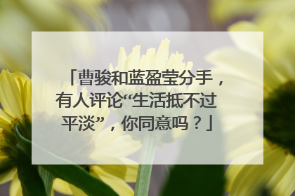 曹骏和蓝盈莹分手,有人评论“生活抵不过平淡”,你同意吗?