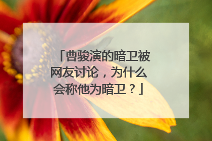 曹骏演的暗卫被网友讨论，为什么会称他为暗卫？