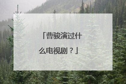 曹骏演过什么电视剧?