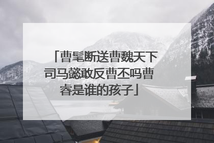 曹髦断送曹魏天下司马懿敢反曹丕吗曹睿是谁的孩子