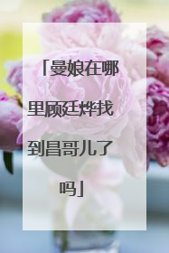 曼娘在哪里顾廷烨找到昌哥儿了吗