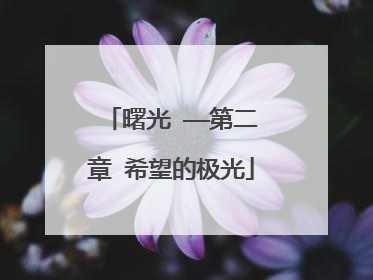 曙光 ——第二章 希望的极光