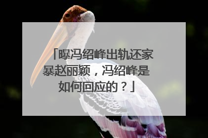 曝冯绍峰出轨还家暴赵丽颖，冯绍峰是如何回应的？