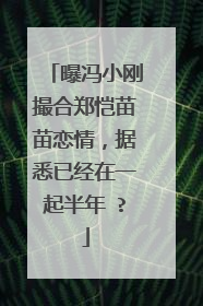 曝冯小刚撮合郑恺苗苗恋情,据悉已经在一起半年 ?