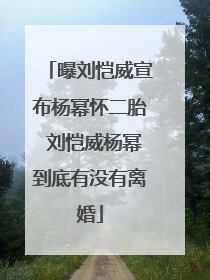 曝刘恺威宣布杨幂怀二胎 刘恺威杨幂到底有没有离婚