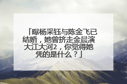 曝杨采钰与陈金飞已结婚,她曾挤走金晨演大江大河2,你觉得她凭的是什么?