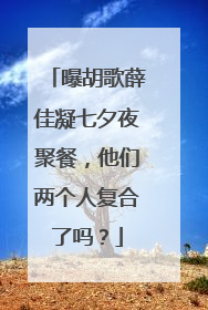 曝胡歌薛佳凝七夕夜聚餐，他们两个人复合了吗？