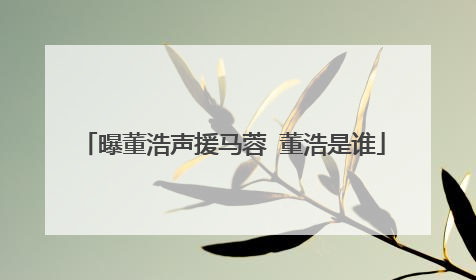 曝董浩声援马蓉 董浩是谁