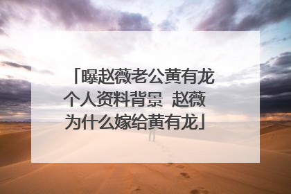 曝赵薇老公黄有龙个人资料背景 赵薇为什么嫁给黄有龙